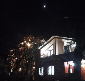 villa green garden borjomi
